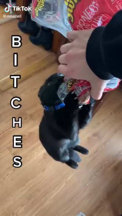 Little man&rsquo;s just hungry
