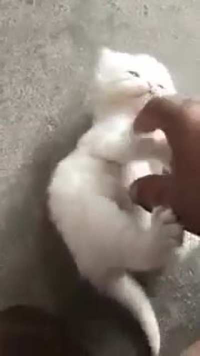 Please Don't Stop cuddling me
