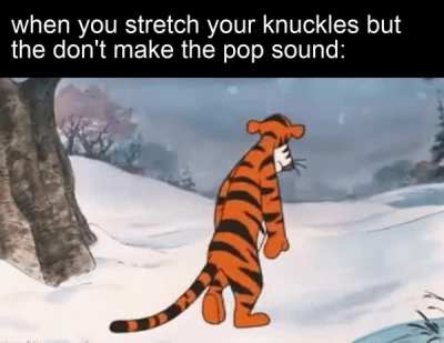 not your meme