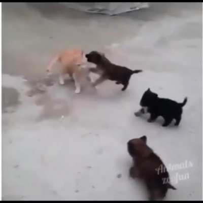 Team effort
