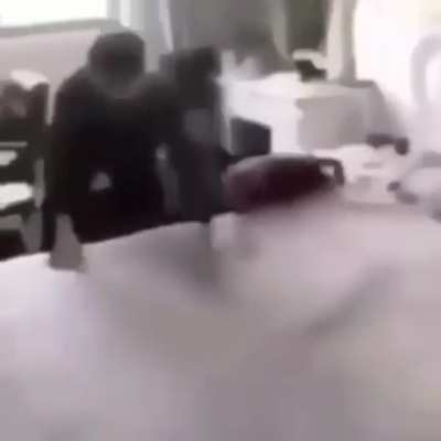 cursed_roach