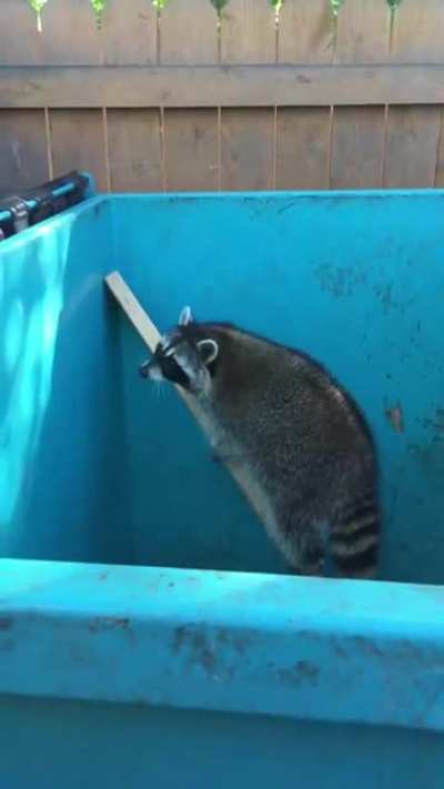 should&rsquo;ve eaten less trash