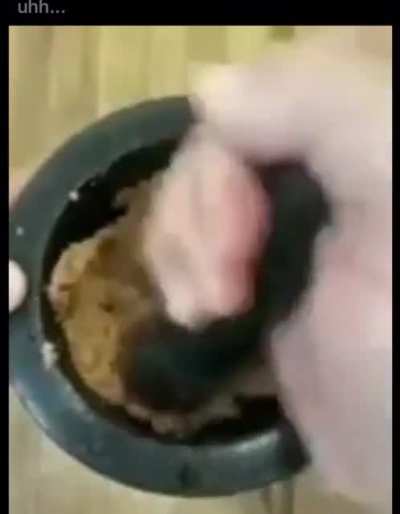 Dog is hot
