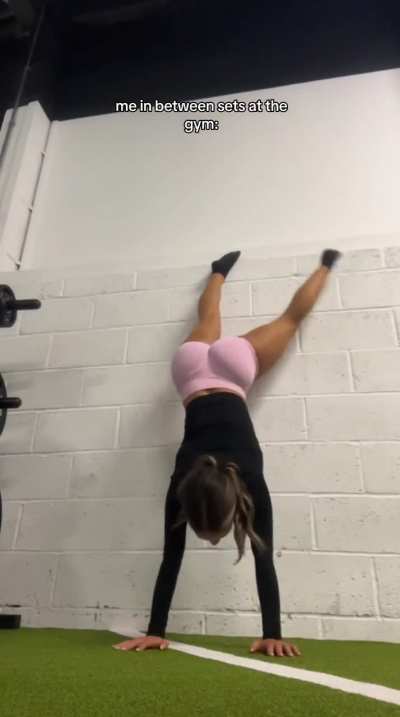 Body