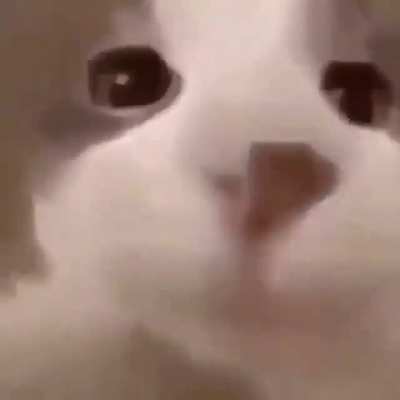 😘