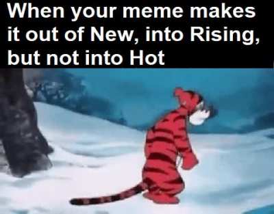 Why did you do that, why did you give me hope?