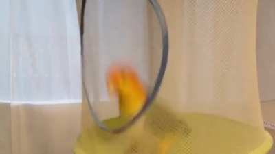 Happy hopping birb