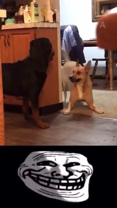 😕🙁😐🙂😁