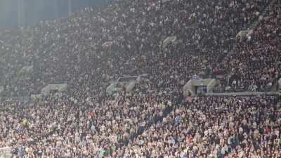 Tottenham fans chant last night after Haaland's goal 