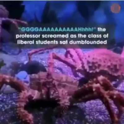 Fascinating Experiment, Professor!
