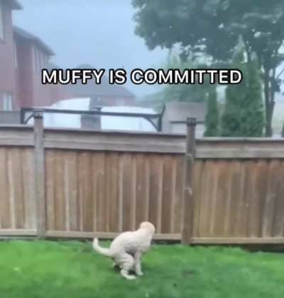 can I get a 💩 in chat for Muffy