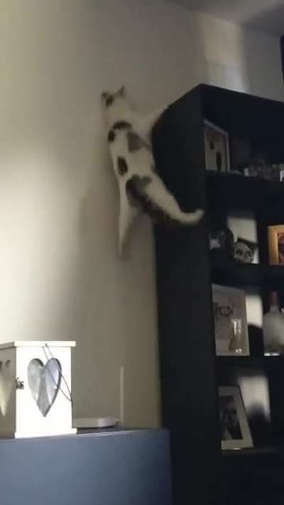 An attempt was made
