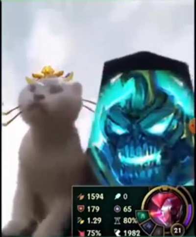 Yuumi &amp;amp; Hecarim.URF