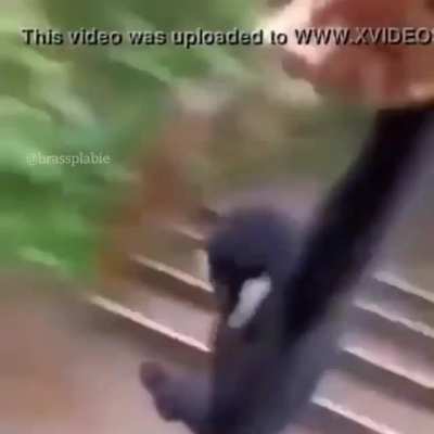 Mono