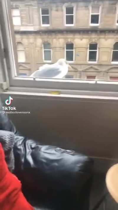go away