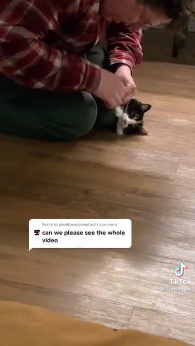 Spicy Burrito Pt 2