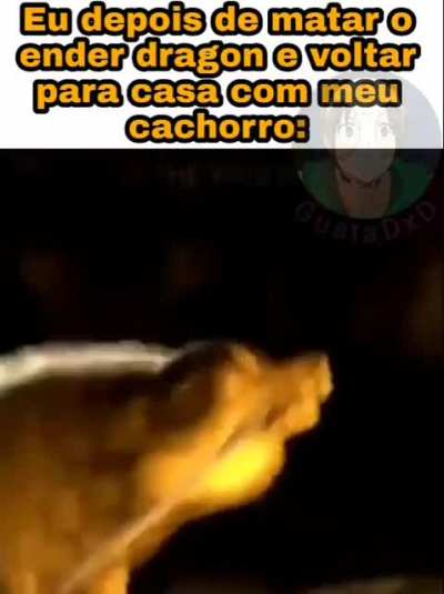 Sem ideia pra t&iacute;tulo