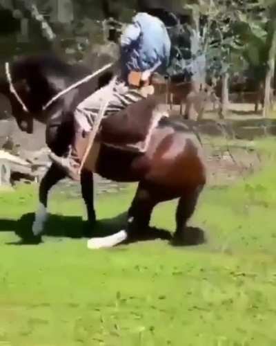 When you see the cliff in time