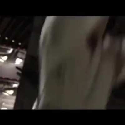 hello there