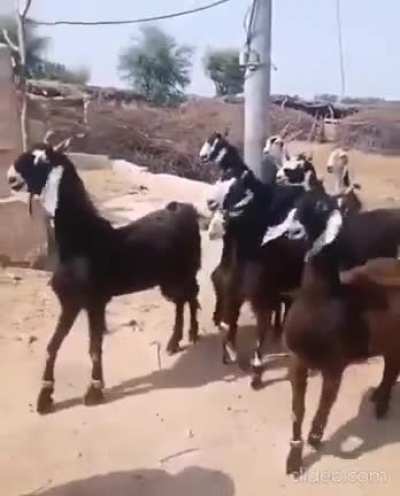 The time has come and the team is ready