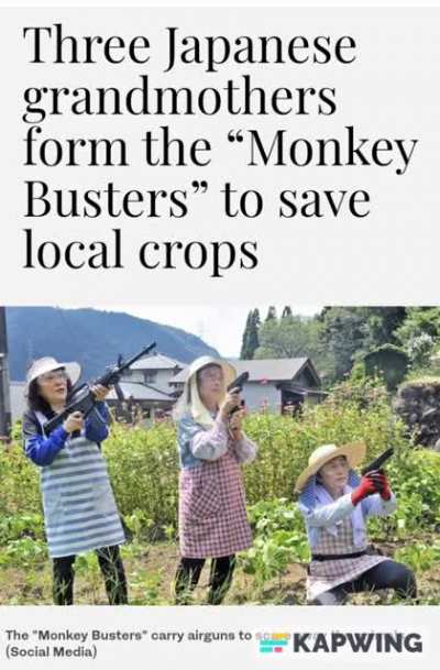 Who you're gonna call?