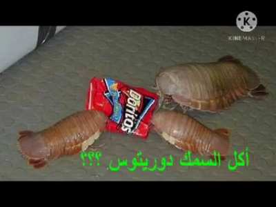 السمك يأكل dorito ؟؟؟😂😂😂