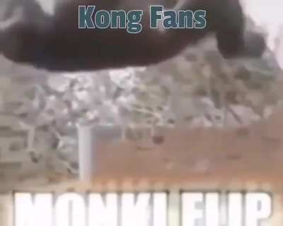 Monkeeee