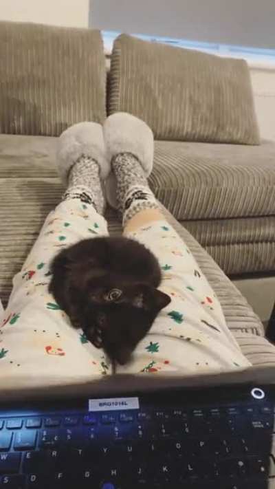 I&rsquo;m new here and I&rsquo;ve been building up karma since December so I could post this. I just think everyone should see it🥺