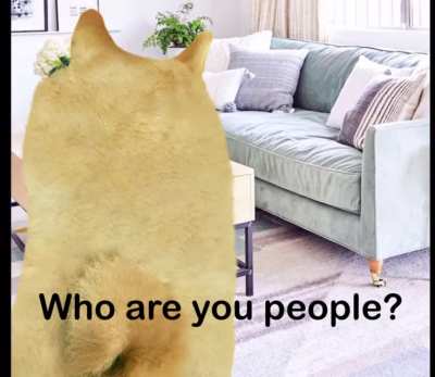 Hahalized doge.mp4 در مورد نظر شما پیدا نشد که نشد به این جرم که است در آن کوش و اشعار شادی free halal pornو از آن به عنوان مثال اگر شما هم از دست عزیزی که