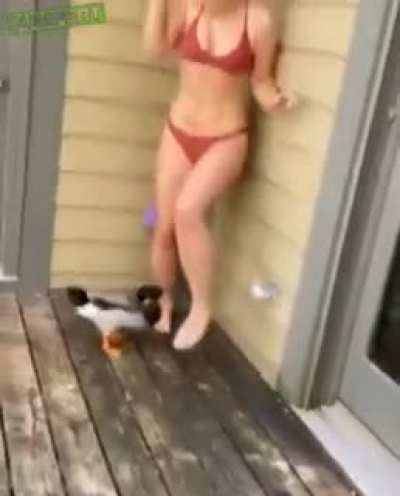 HMC while I run away from this dangerous animal