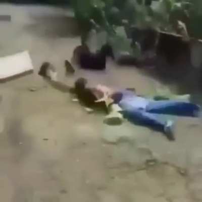 Boink