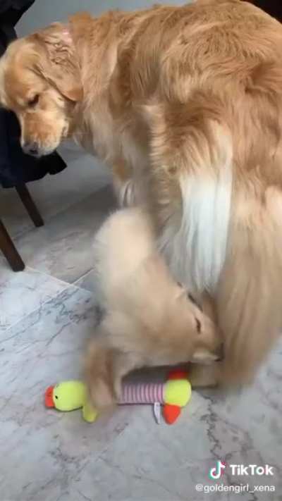 Things Finn does to his sister that don't make sense