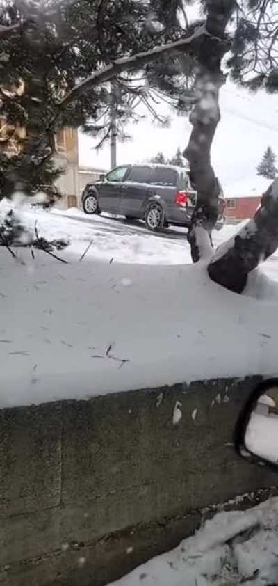 Я действительно не представляю, как можно быть настолько тупым