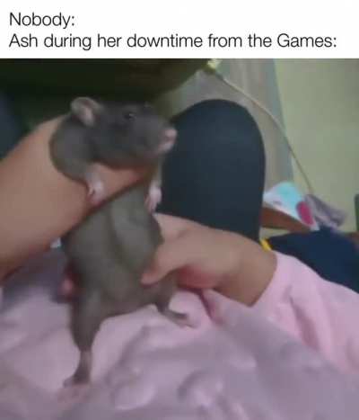 Hehe, rrat🐭