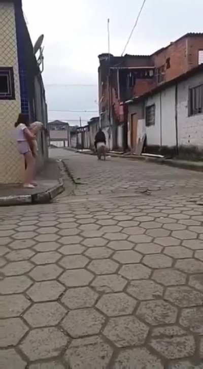 Несите мне доспехи, седлайте мне коня!