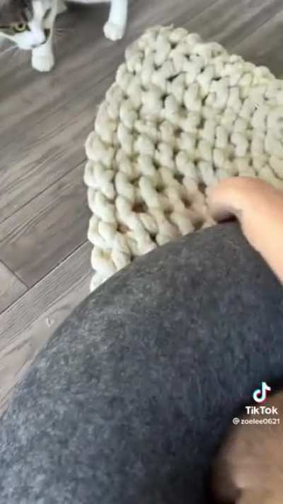 Why is he trying to hide in there?