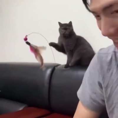 You're the pet now