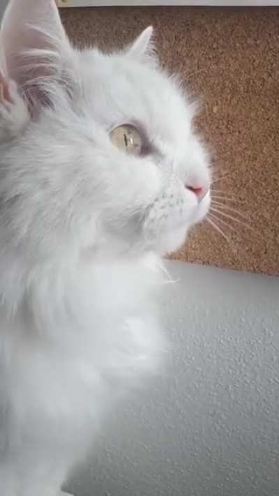 She saw a little bird!