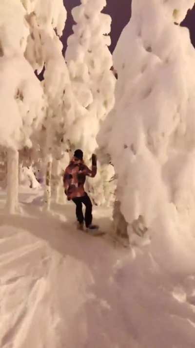 (Winter wonderland)