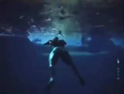 Rod cuando jugaba subnautica: