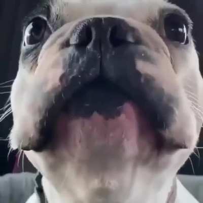 Short but sweet