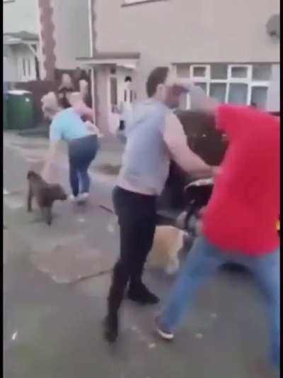 Local dog rapist gets a beating after vigilantes find missing underage dogs at his apartment