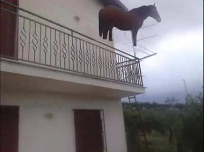 En iyi freeruner Juan'dır aksini iddia eden unicorndur.