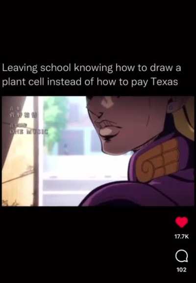 💰