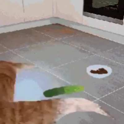 Potty