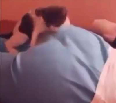 Clear explaination of eating "ass" in a short video