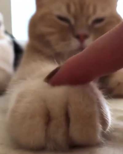 Fluffy bread