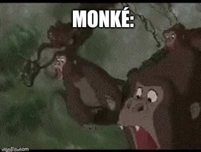 Finally I am one with the monk&eacute;