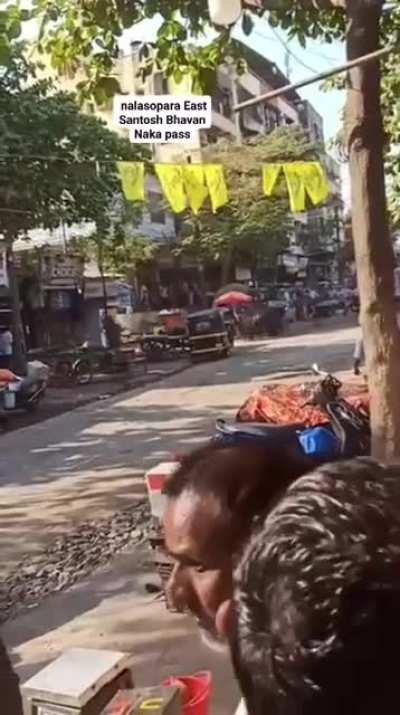 Bull runs wild in town