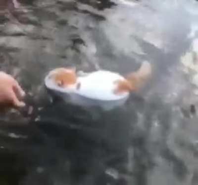 part time boat.